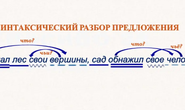 Синтаксический разбор предложения пример