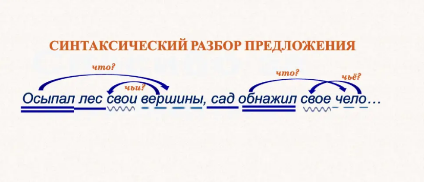 Синтаксический разбор предложения пример