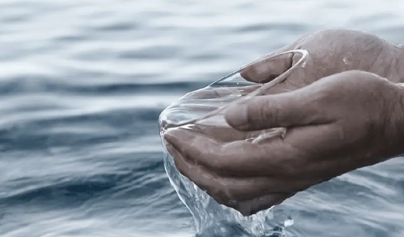Почему нельзя пить морскую воду
