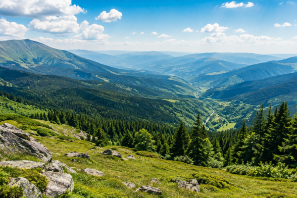 Карпати в Україні — гірський ландшафт і природна краса